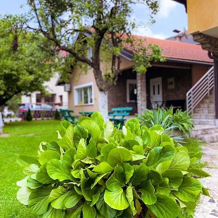 Adella Sarajevo