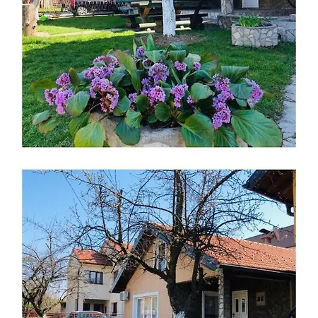 Apartment Adella *